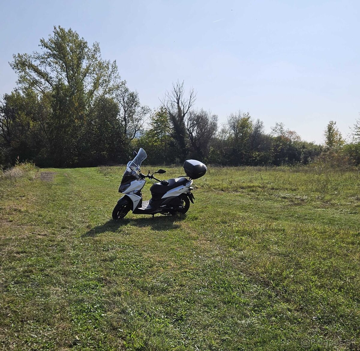 SYM JET 14 125 r.v. 2023 - 3