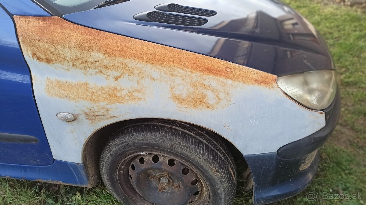 Diely Peugeot 206 - 3