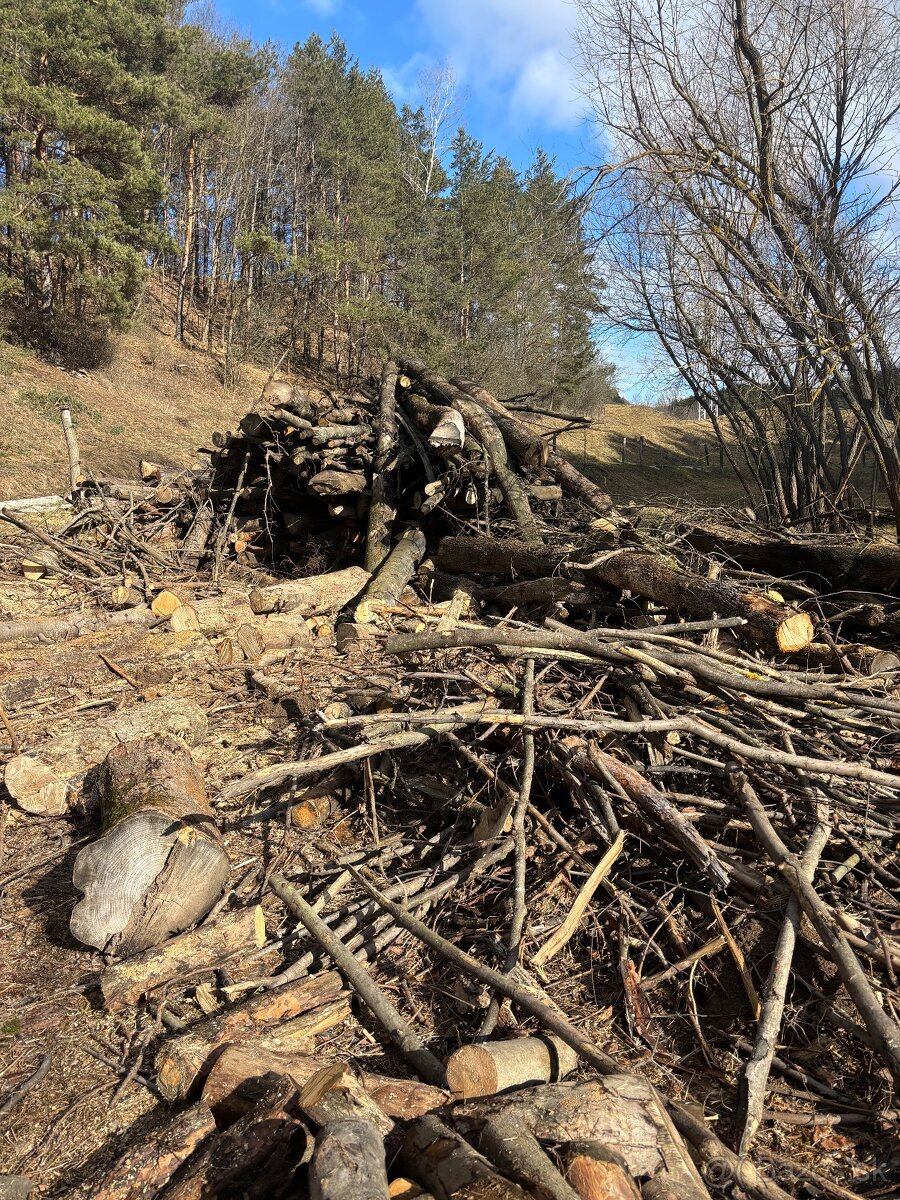 Predám palivové drevo - 3