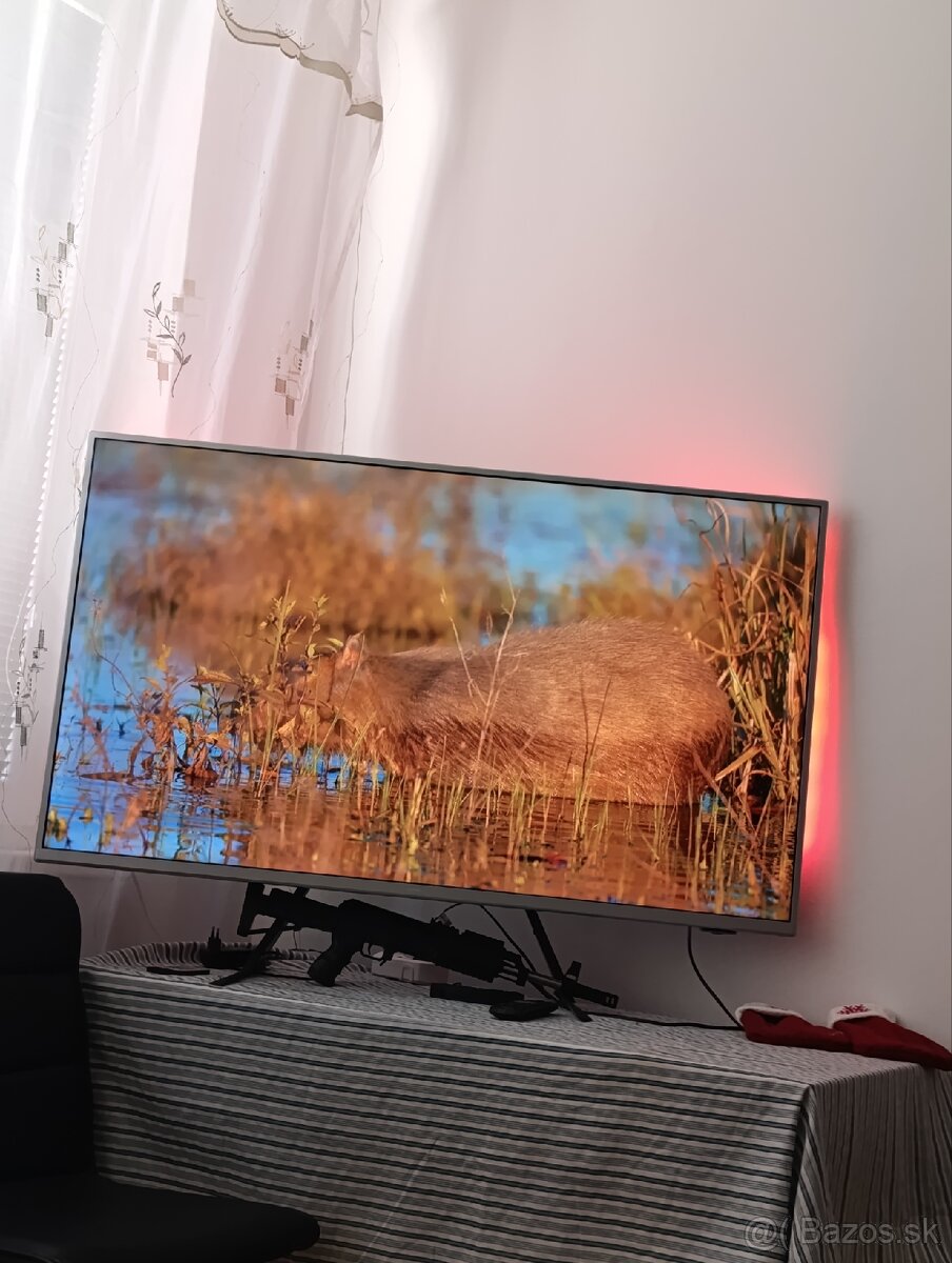 Televízor Philips 50 - 3