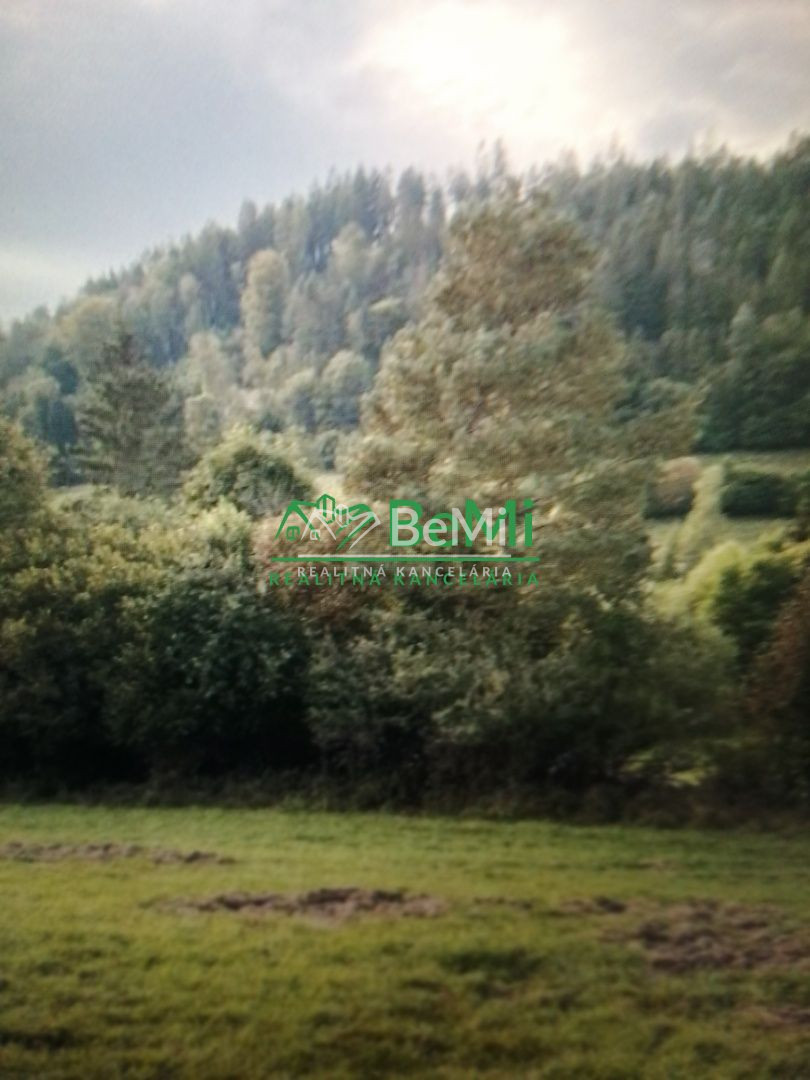 Fotografia 3