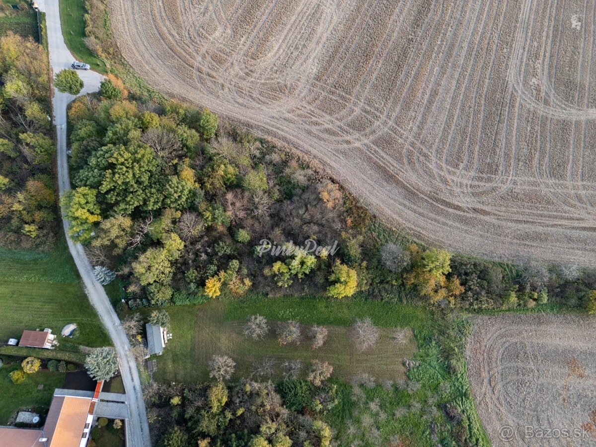 Pinky Real - Investičný pozemok v obci Boleráz - 3