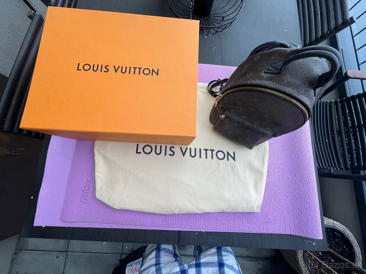 Louis Vuitton Palm Springs PM Backpack - 3