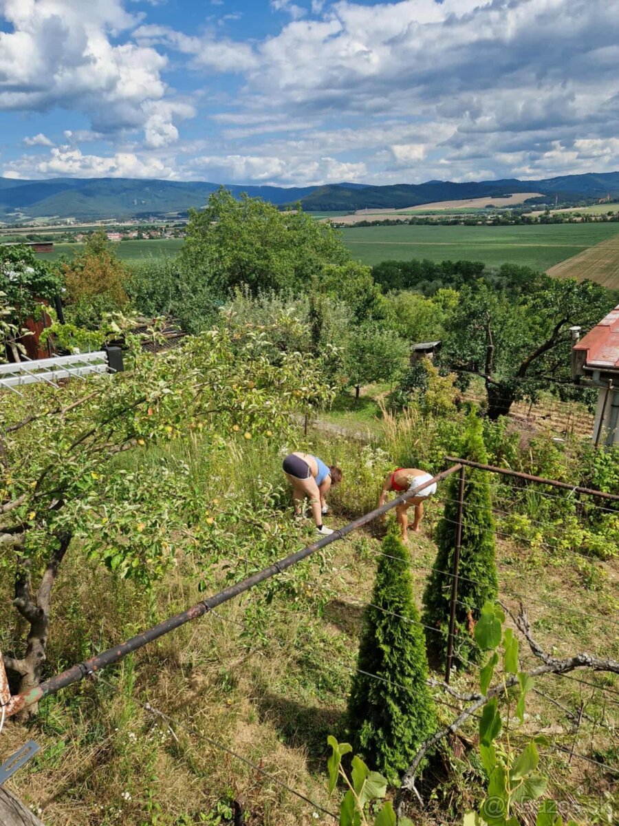 Záhradka s chatkou - 3