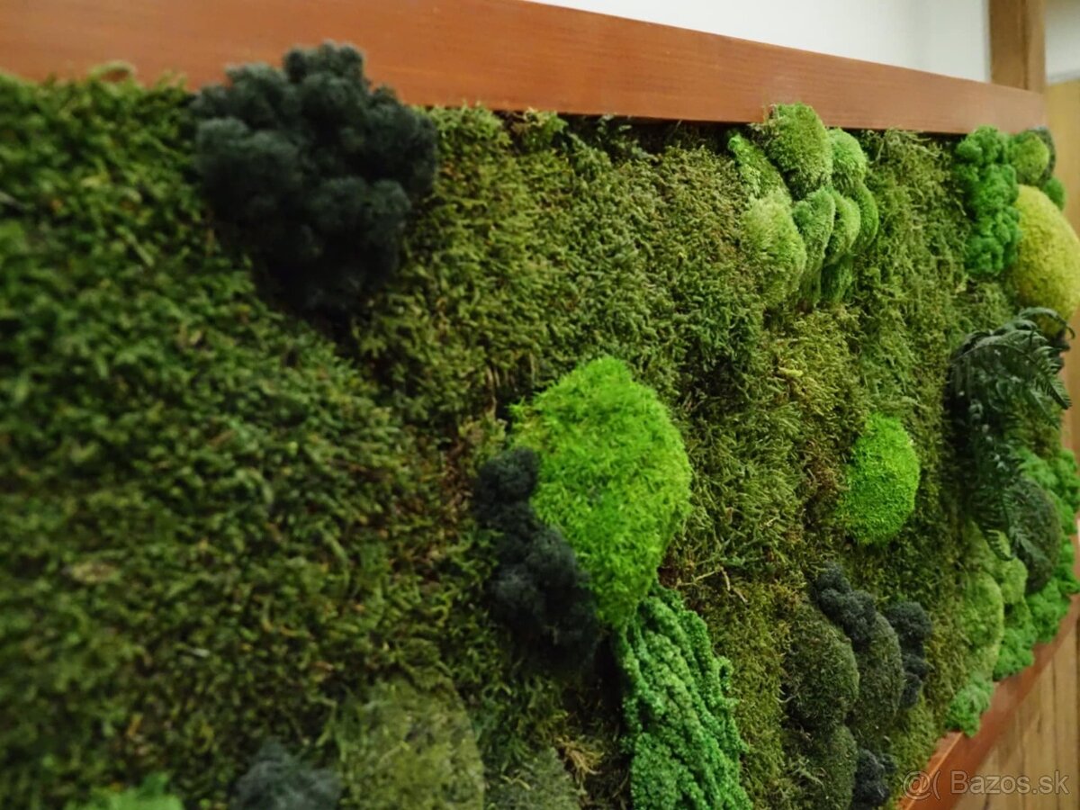 Machovy obraz 120x60cm - 3