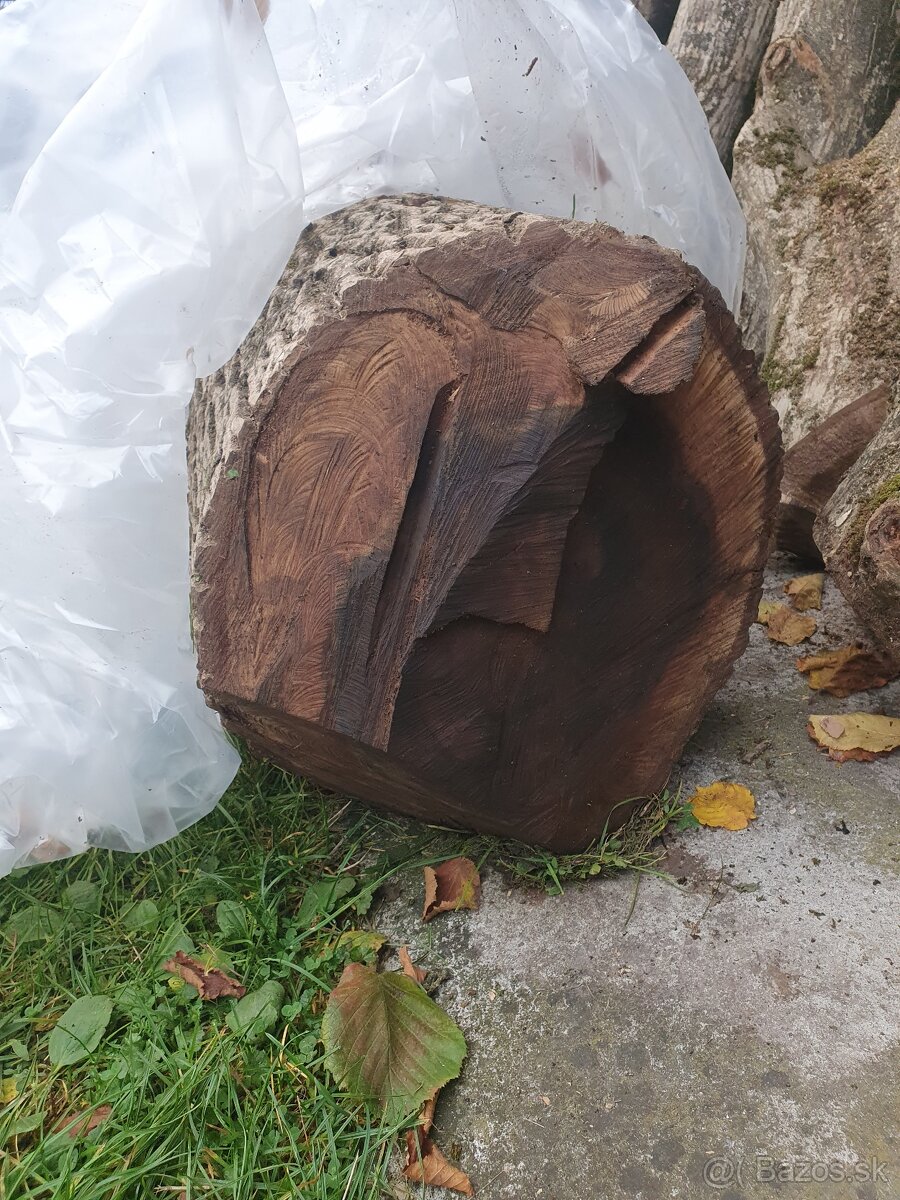 Predám Orechové drevo - 3