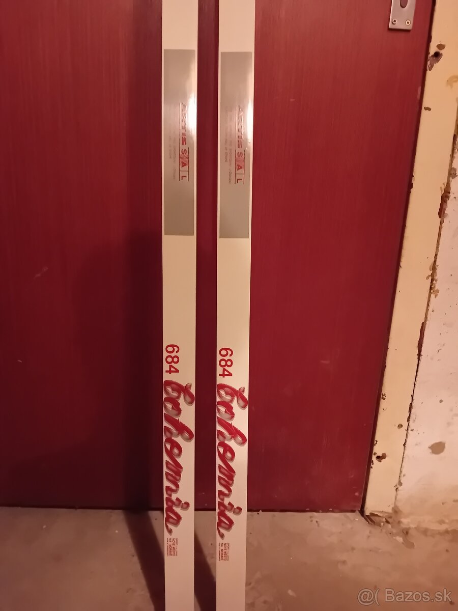 Bežky s palicami a lyžiarkami - 3