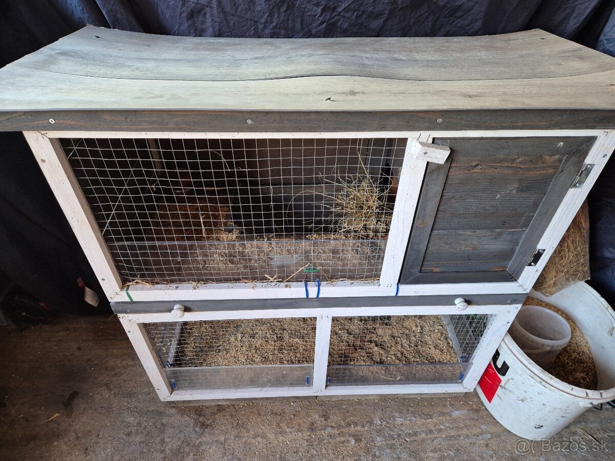 Morské prasiatko+voliéra - 3