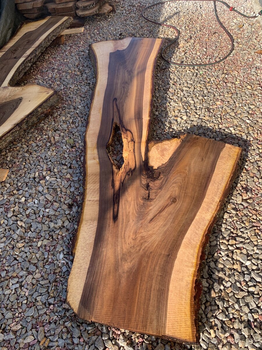 Orechove forsne z krásnou kresbou - 3