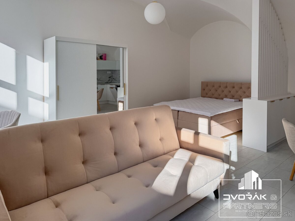 EXKLUZÍVNE Veľký 1-izbový byt v priamom centre na prenájo - 3