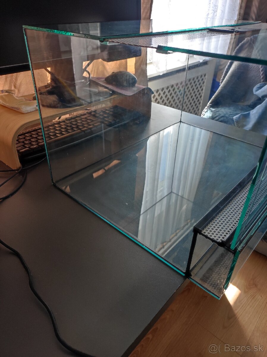 Terarium - 3