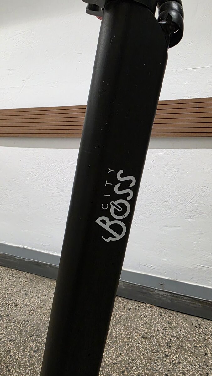 Elektricka kolobezka - 3