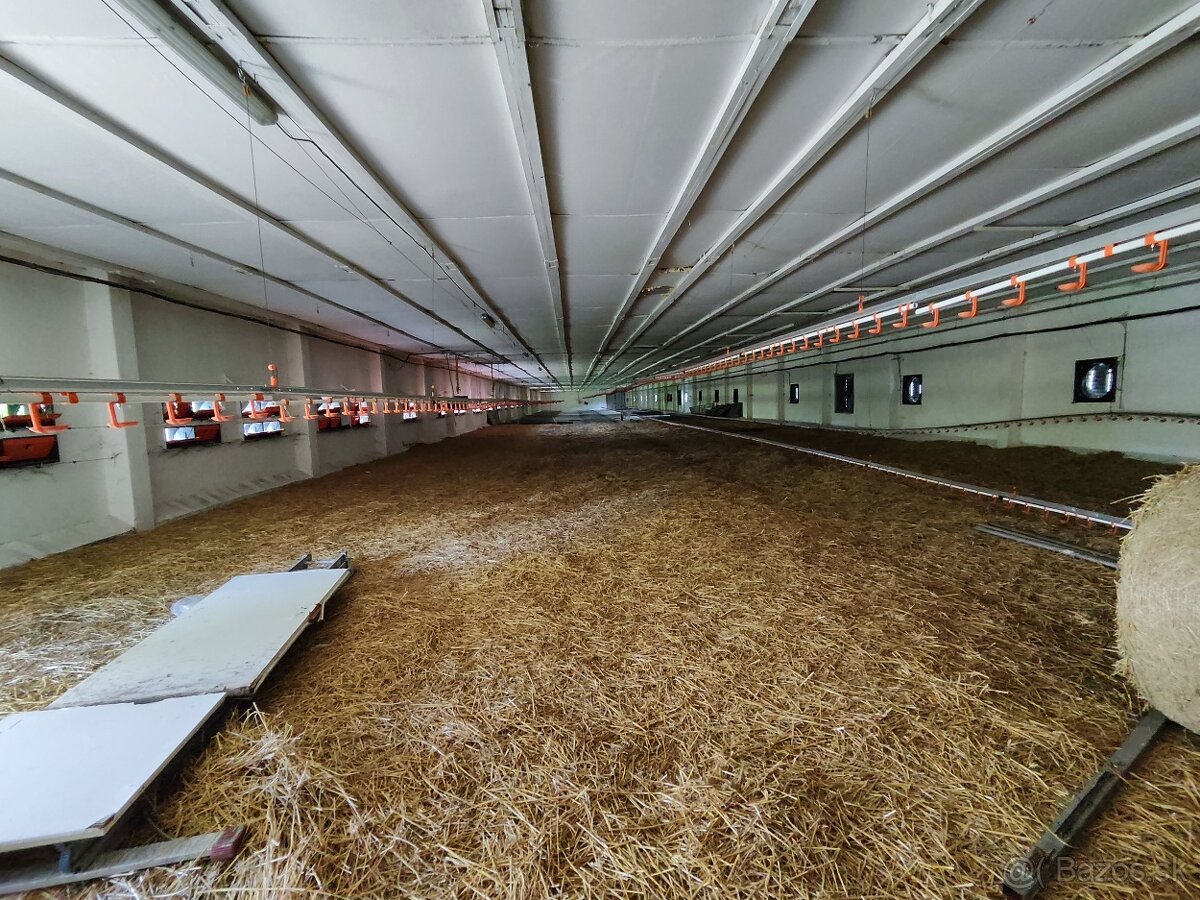 Predaj haly 1500 m2,Podhradie - 3