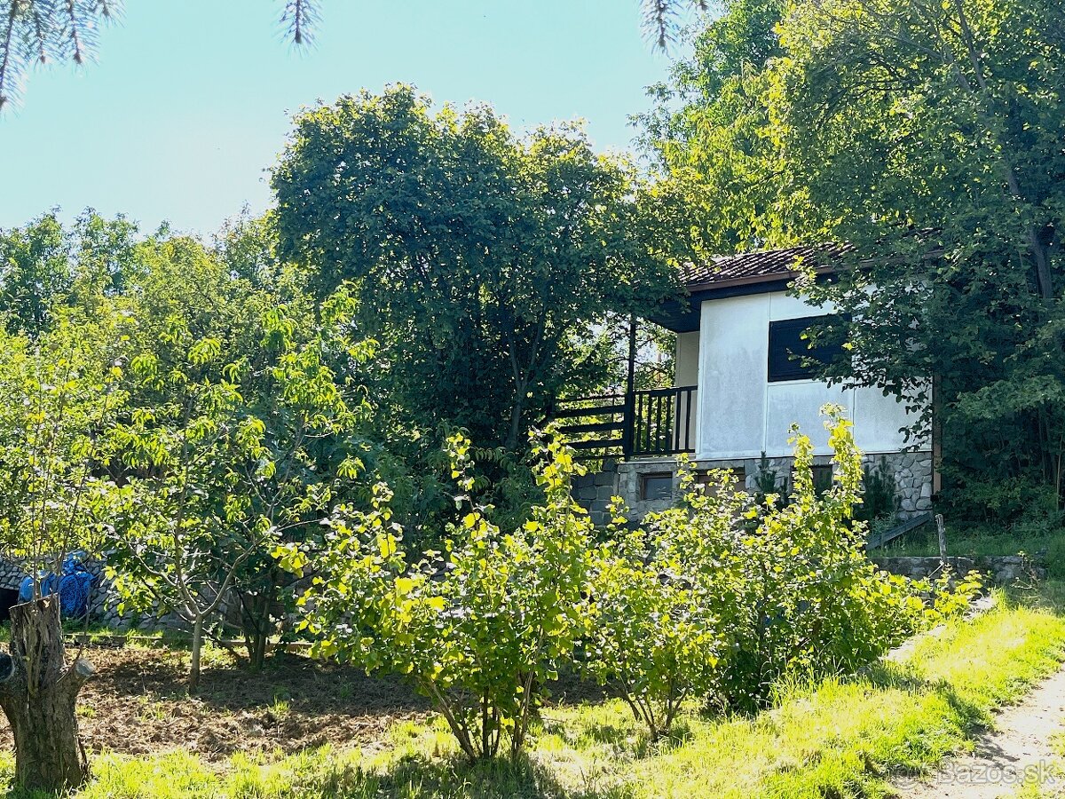 PREDAJ záhrada 407m² s CHATKOU Návojovce Partizánske - 3