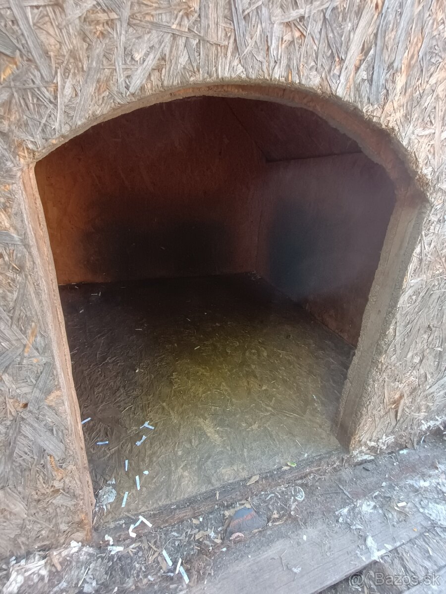 Psia búda - 3