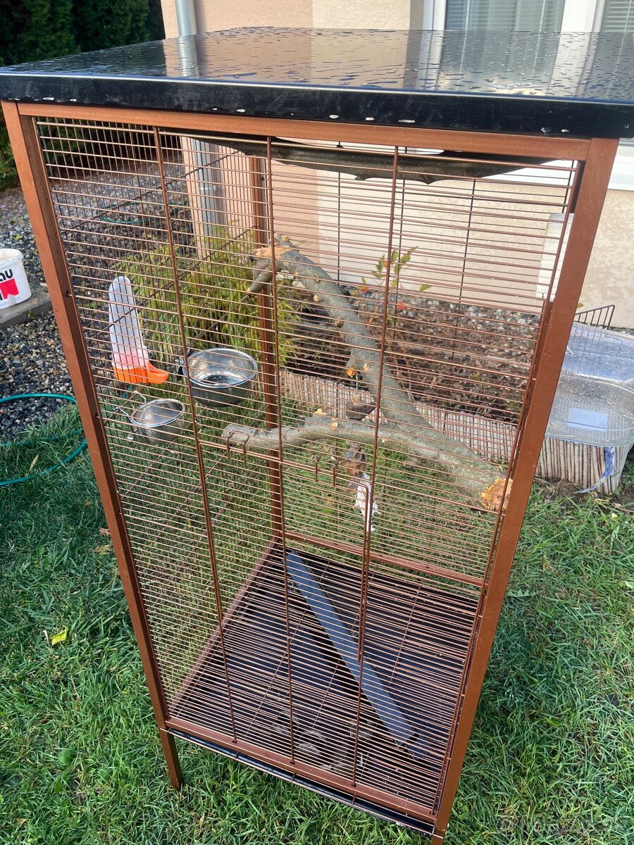 Klietka pre papagáje , vtáky - 3