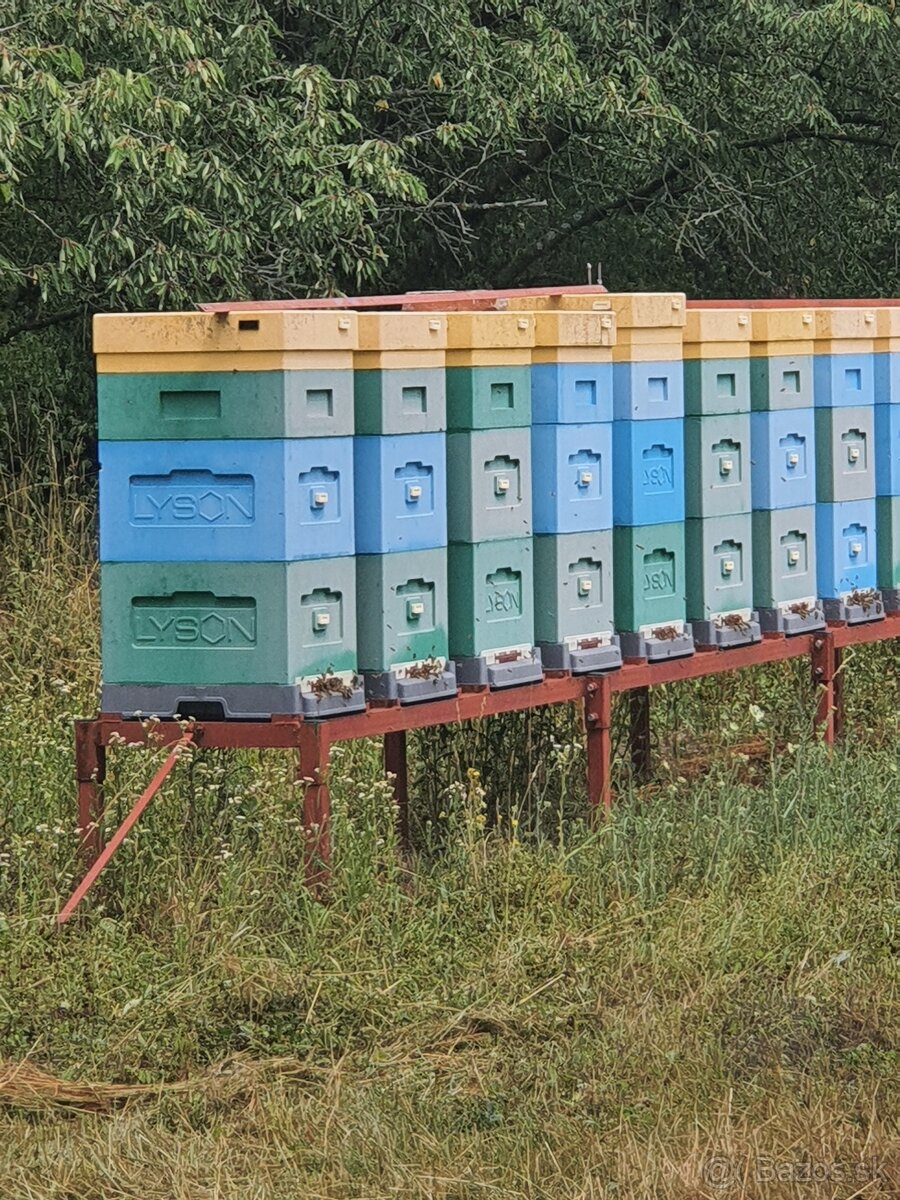 Ule a Včely - 3