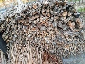 Predam dosky dlzka 1mx8cm xhrubka1,6cm.kus za0,39e.a dlzka 1 - 3