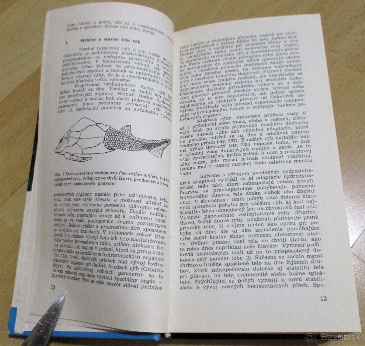 Ryby Slovenska - 3