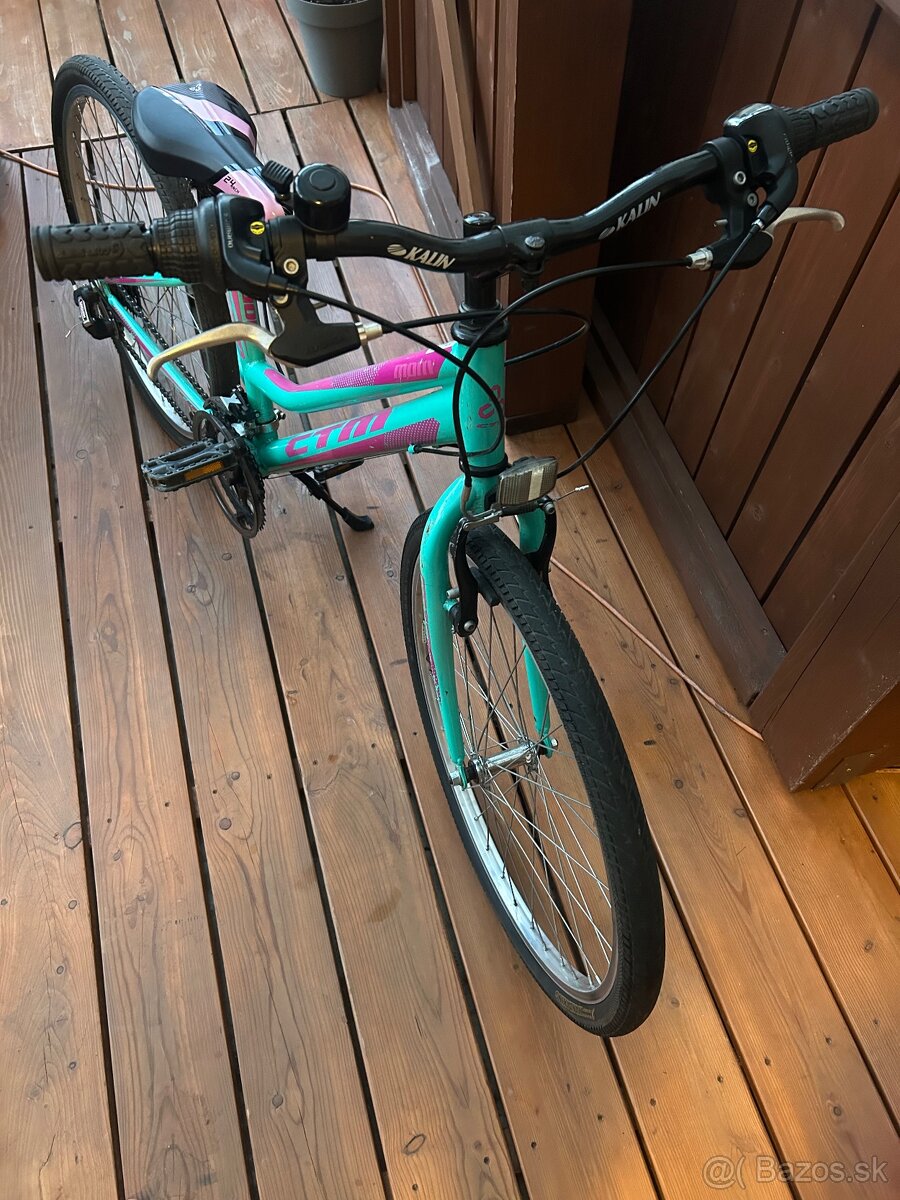 CTM Mony mint /violet 24” kolesá - 3