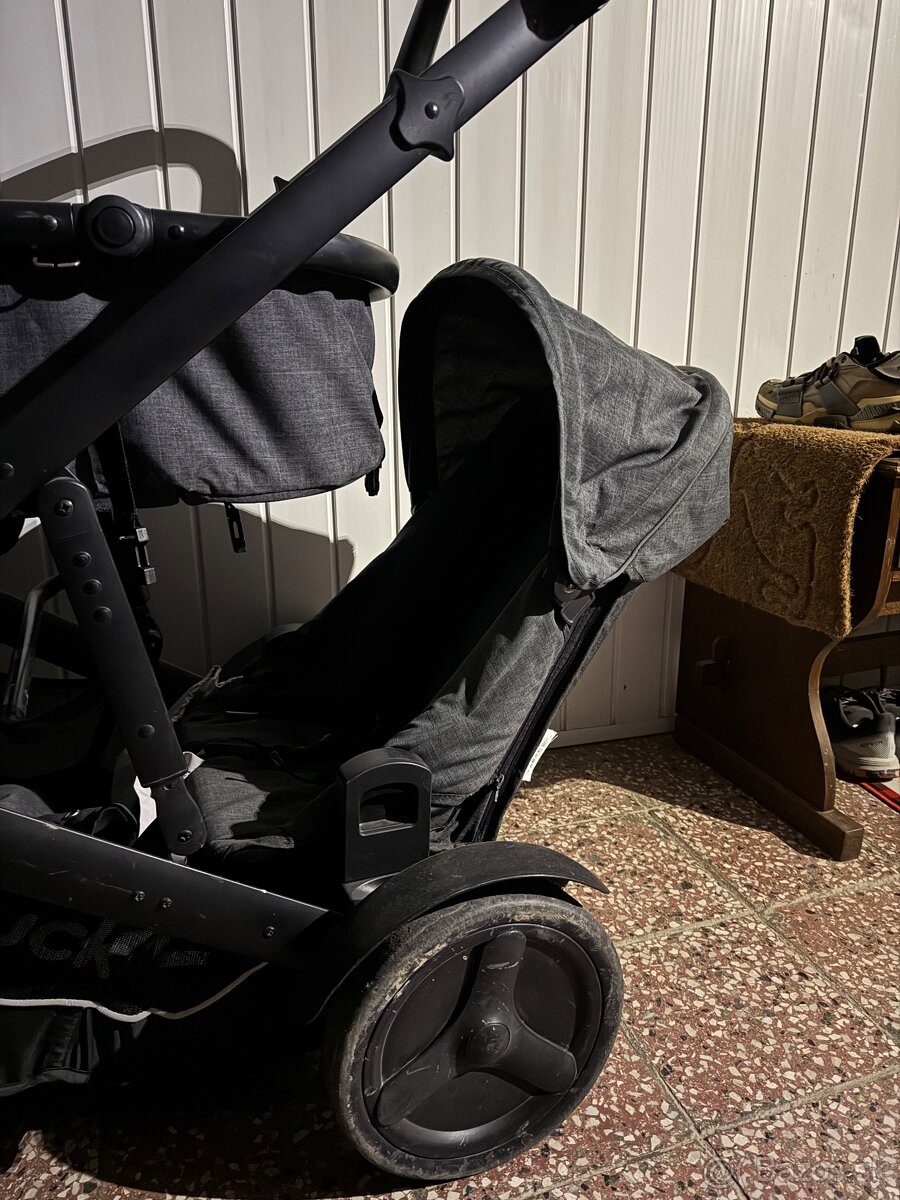 Súrodenecký dvojkočík Hauck - 3