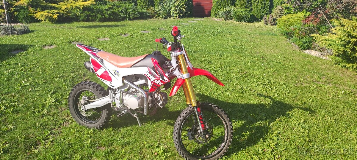 Pitbike WPB Race 140 - 3