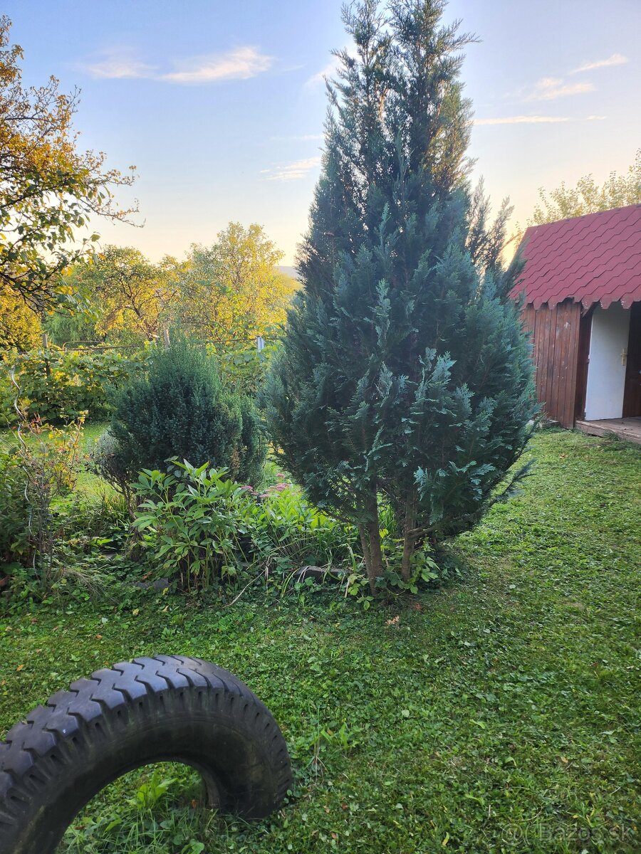 Predám záhradku Zvolen - 3