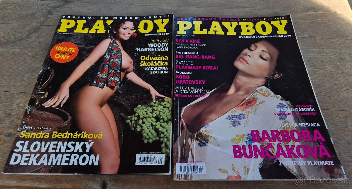 Playboy Sk 2008,2009,2010,2014 - 3