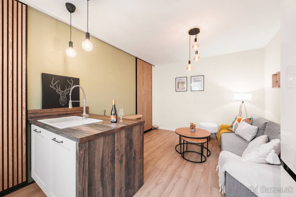 NOVOZKONŠTRUOVANÝ 2 izbový byt na prenájom za 530,- Eur, KAR - 3