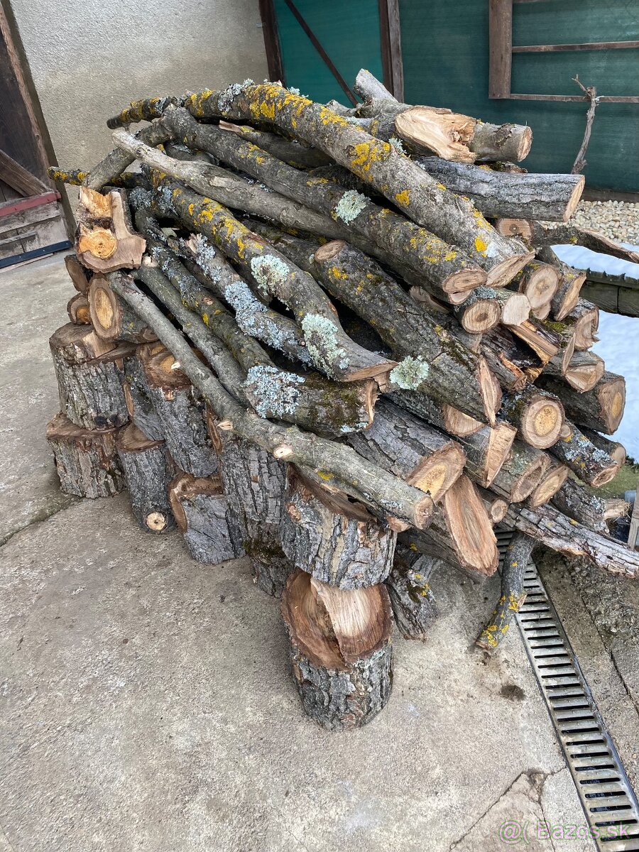 Predám čerstvé orechové drevo - 3
