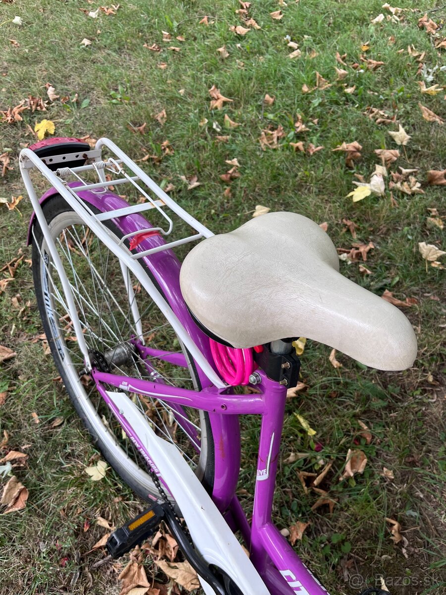 Mestsky bicykel-pre zenu/dievca - 3
