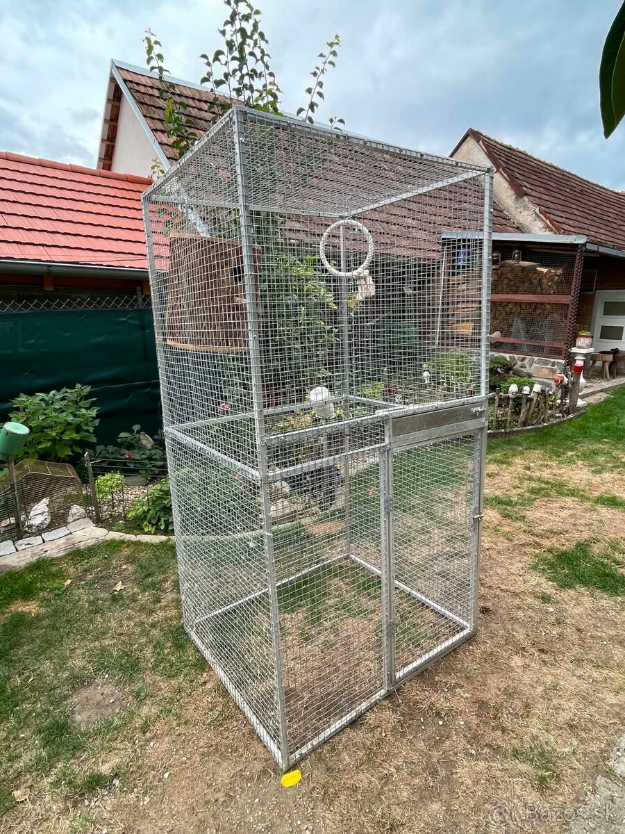 Voliera - 3