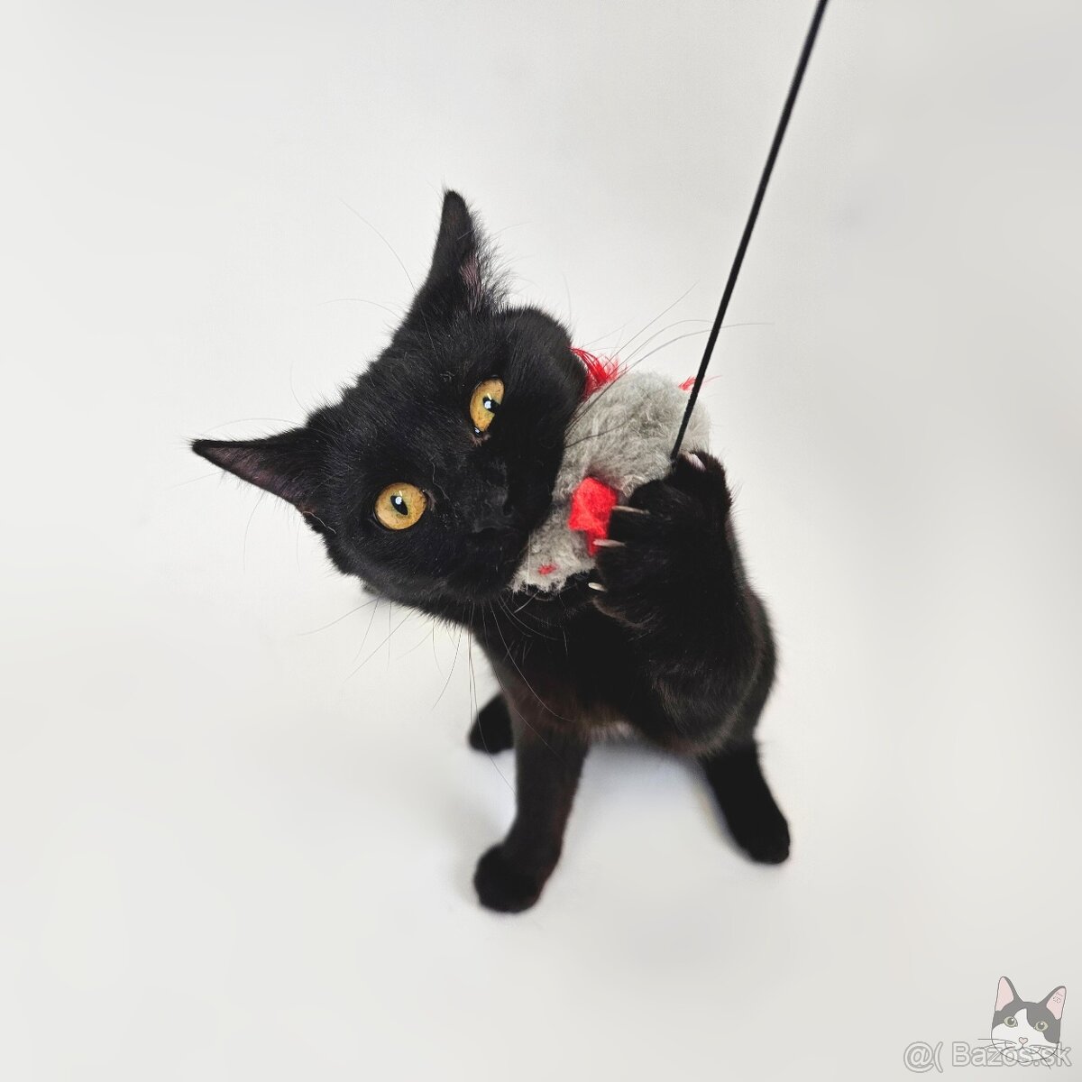 Drobunká POPPY hľadá domov - 3