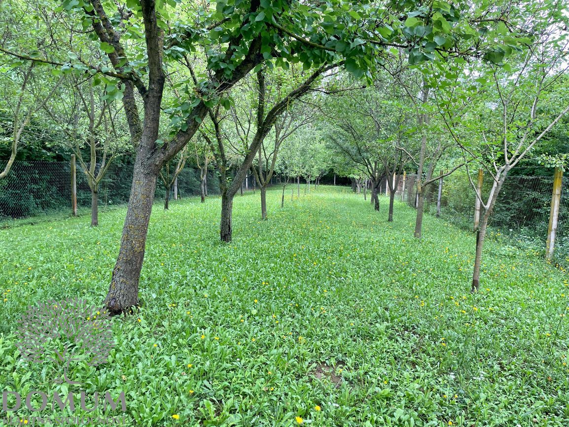 Rekreačný / stavebný pozemok 1153m2 v Novom Meste n/V - 3