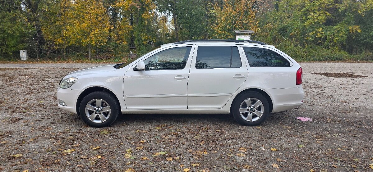 Skoda octavia 4x4 - 3
