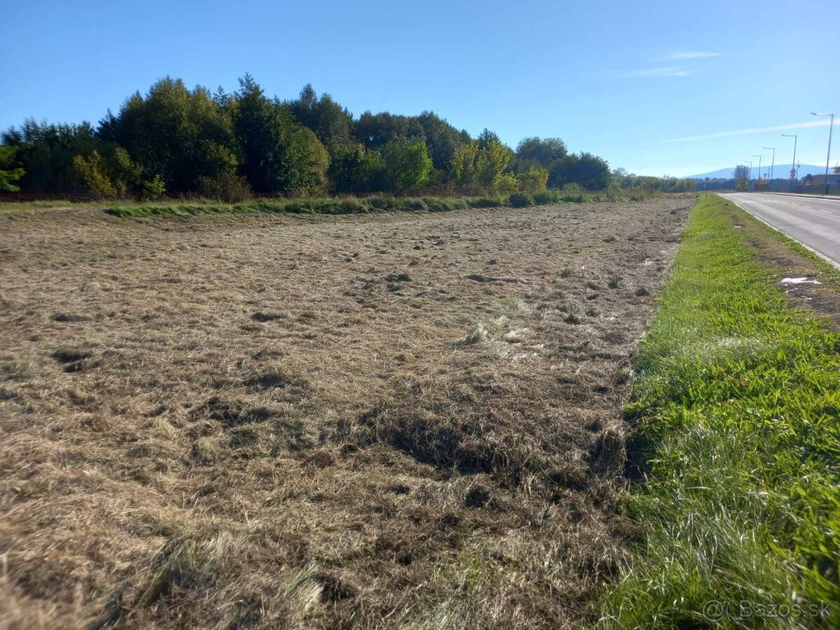 Pozemok na prenájom - 3