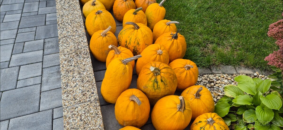 Tekvice na halloween - 3