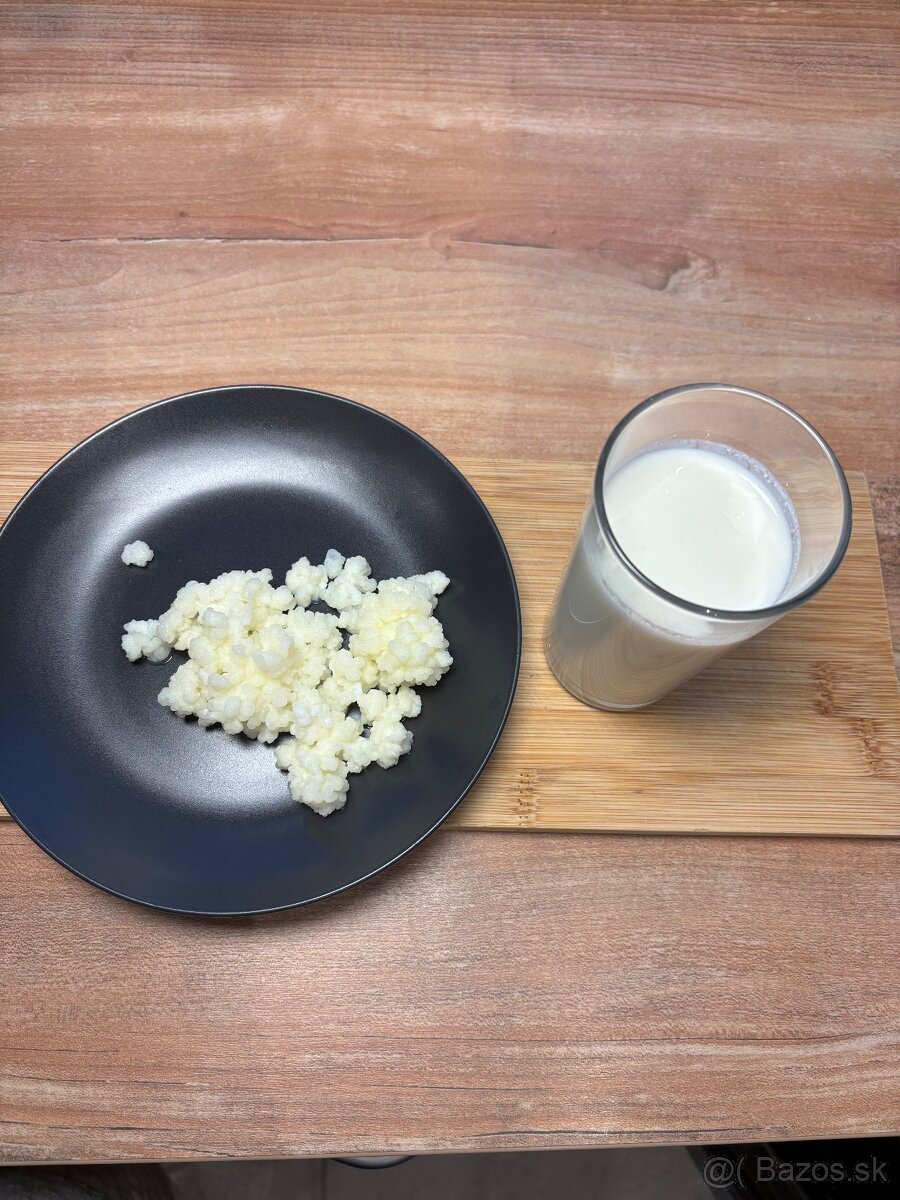 Tibetská huba - Kefír - 3