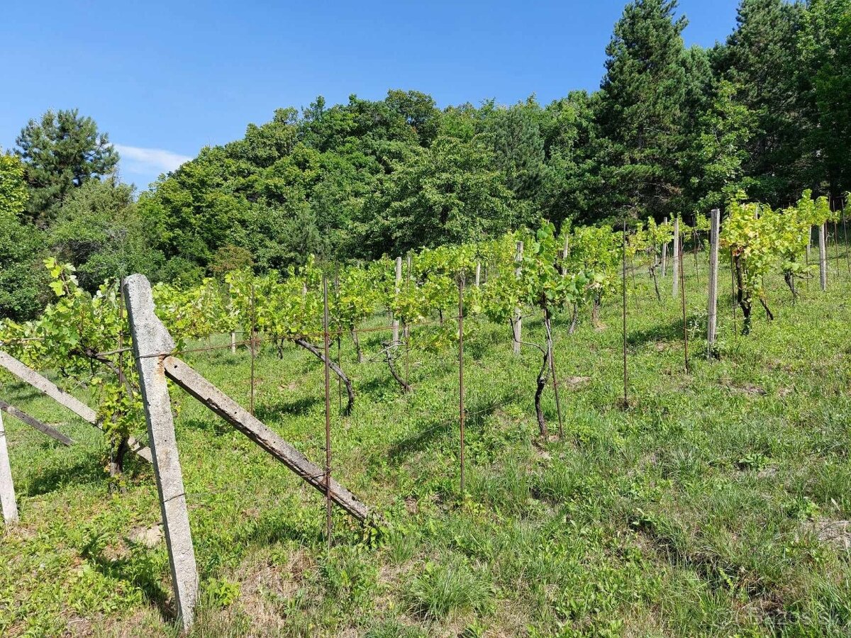 Rekreačný pozemok, Hrušov - 3