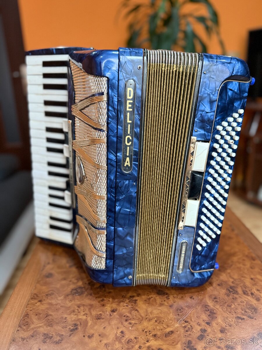 Akordeón Delicia Melodia VIII - 3