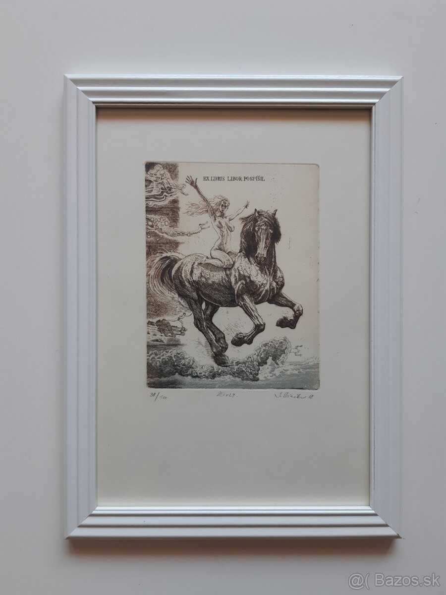 Igor Piačka – Živly - 3