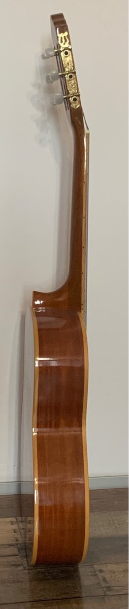 Gitara José Ribera HG813 - 3