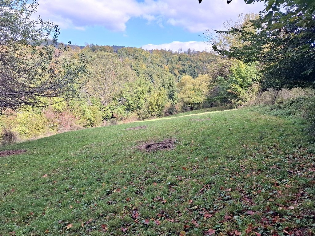 Stavebný pozemok (1000 m²) - 3