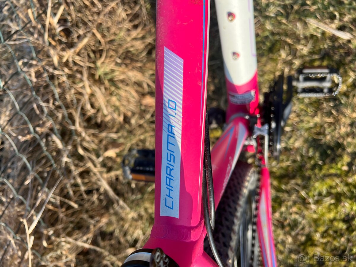 CTM CHARISMA 1.0 - 3