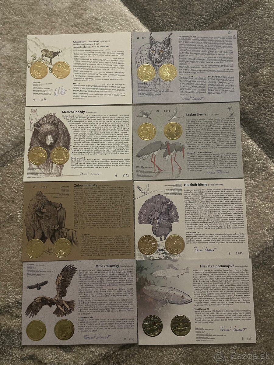 Autorská karta fauna a flora - 3