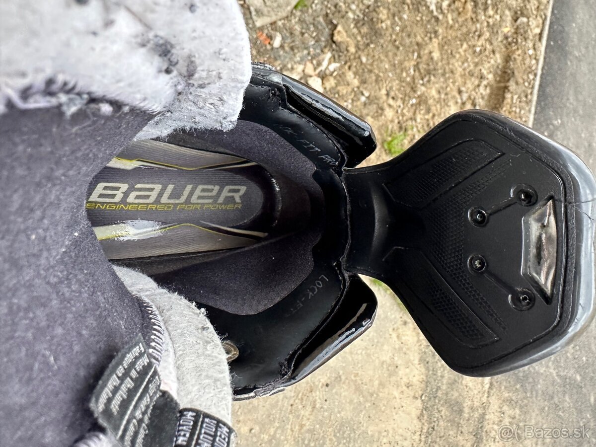 Korcule Bauer Supreme Shadow - 3