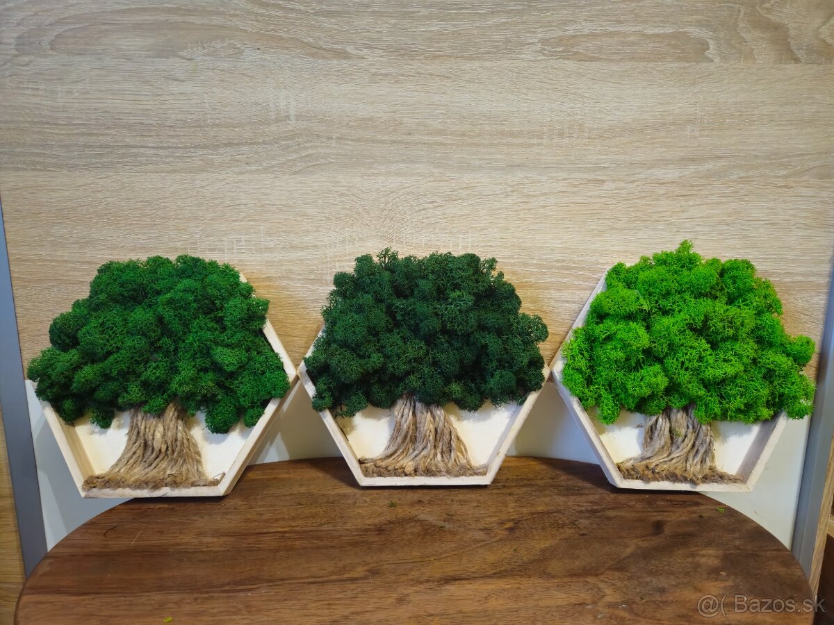 Machový obraz hexagón na mieru - 3