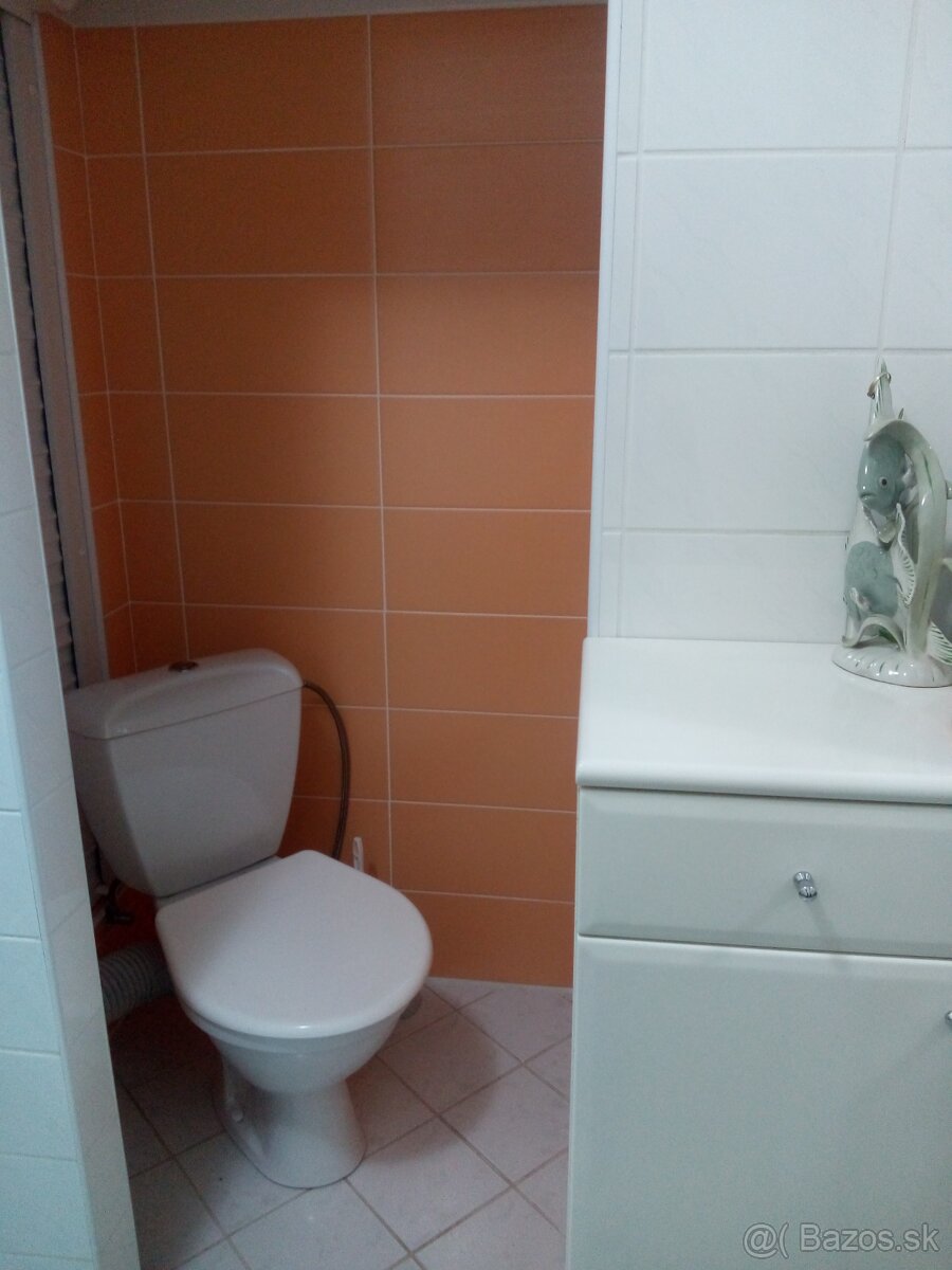 Veľký 3-izbový byt - 3