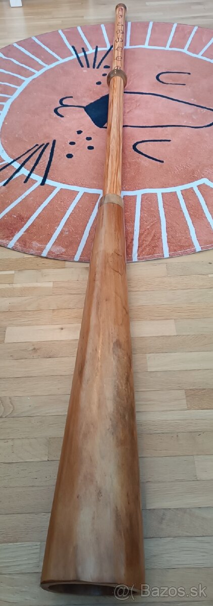 Australské Didgeridoo (přes 2 metry) - 3