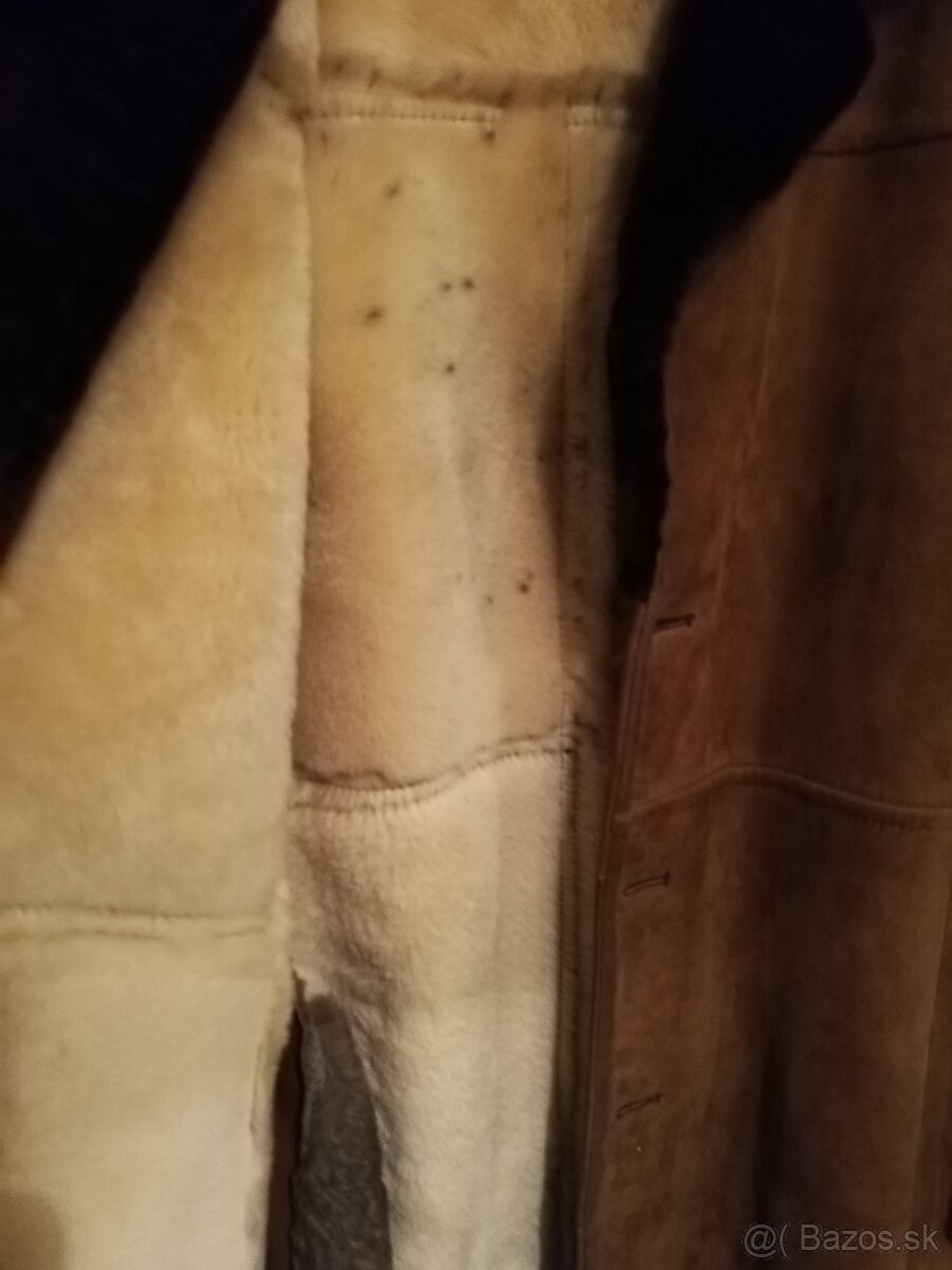 Slovenský kožuch - 3